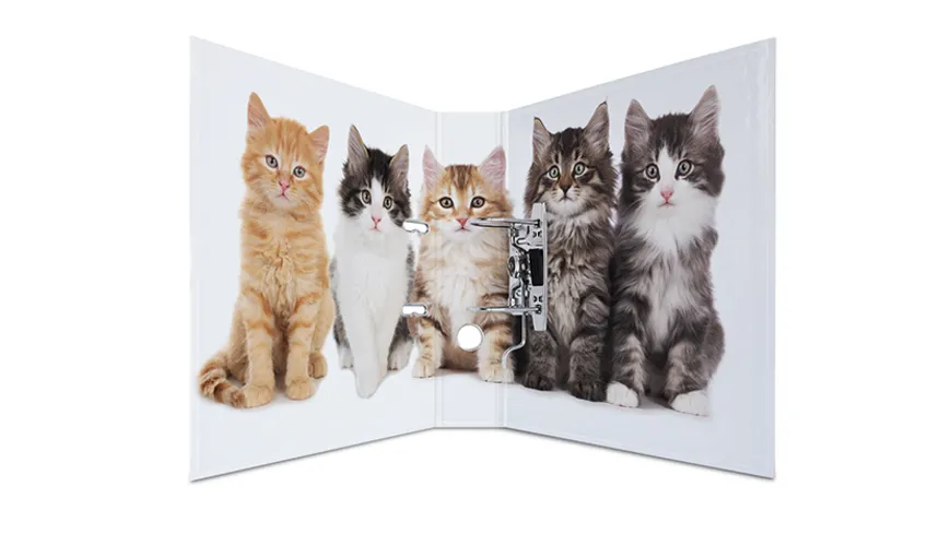 HERMA Motiv-Ordner A4 breit Katzen Motiv