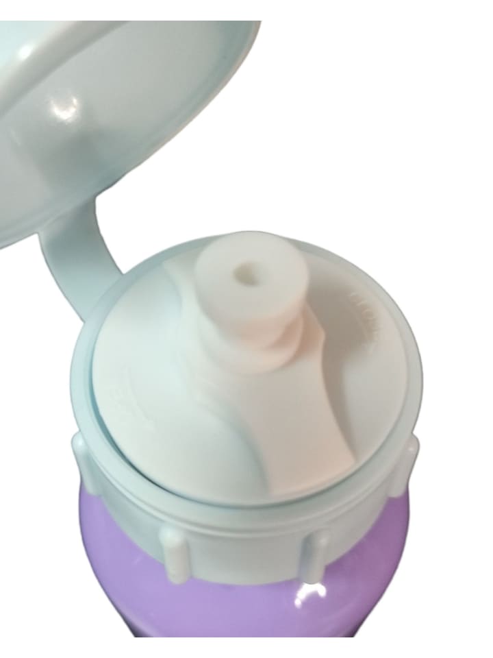 Disney Frozen Alu-Trinkflasche Disney Frozen 520 ml Elsa & Anna in Lila günstig kaufen 6