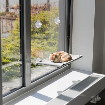 Trixie Fenster-Liegeplatz