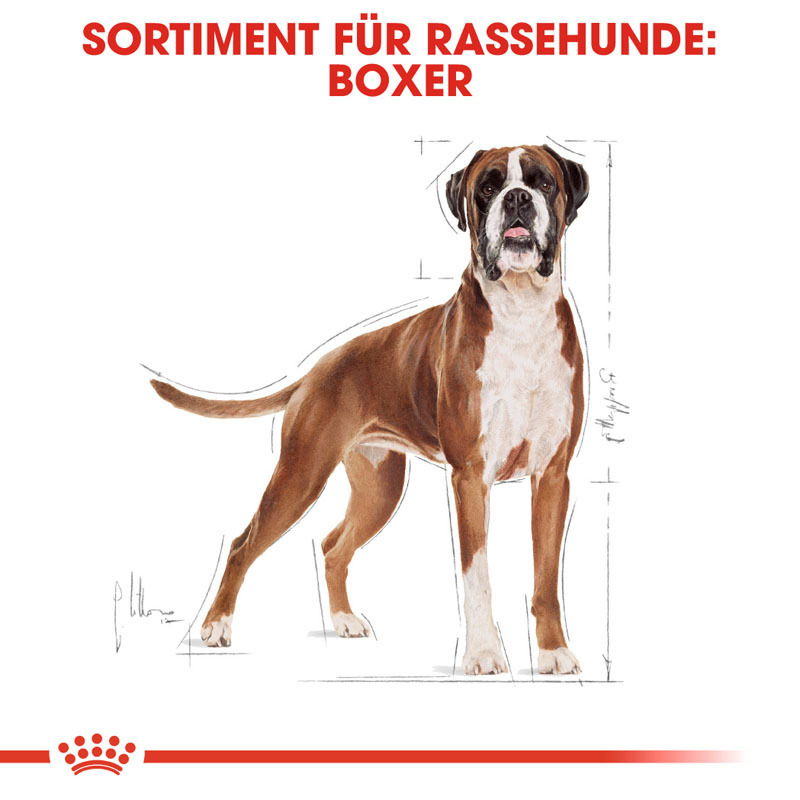 ROYAL CANIN Hundetrockenfutter ROYAL CANIN Boxer Adult 2x12 kg