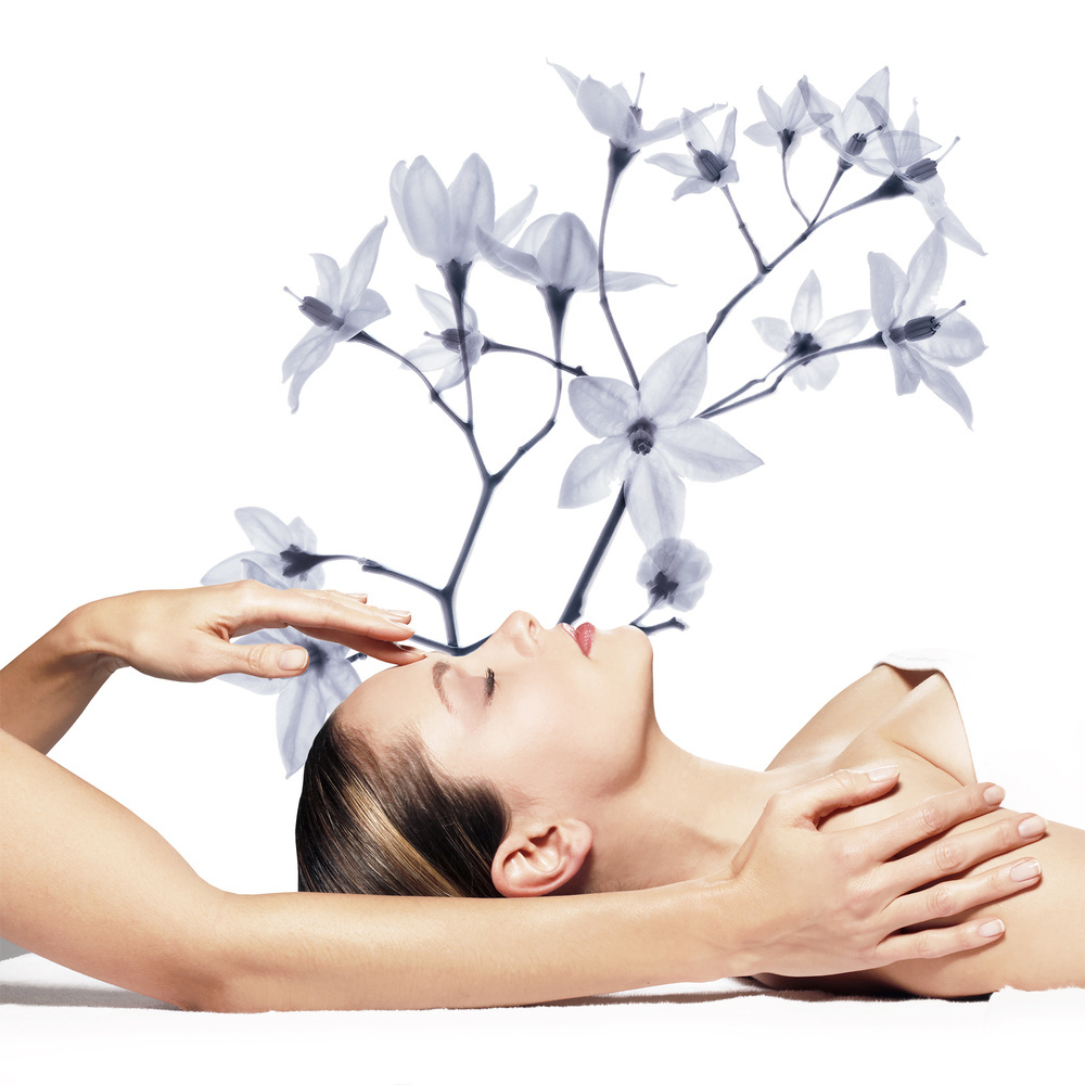DR Renaud PRESCRIPTION VEGETALE - EXPERT RENOVATEUR PRO-JEUNESSE Soin Visage Anti-Âge DR Renaud 1h