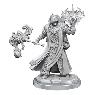 D&D Frameworks: Human Cleric Male