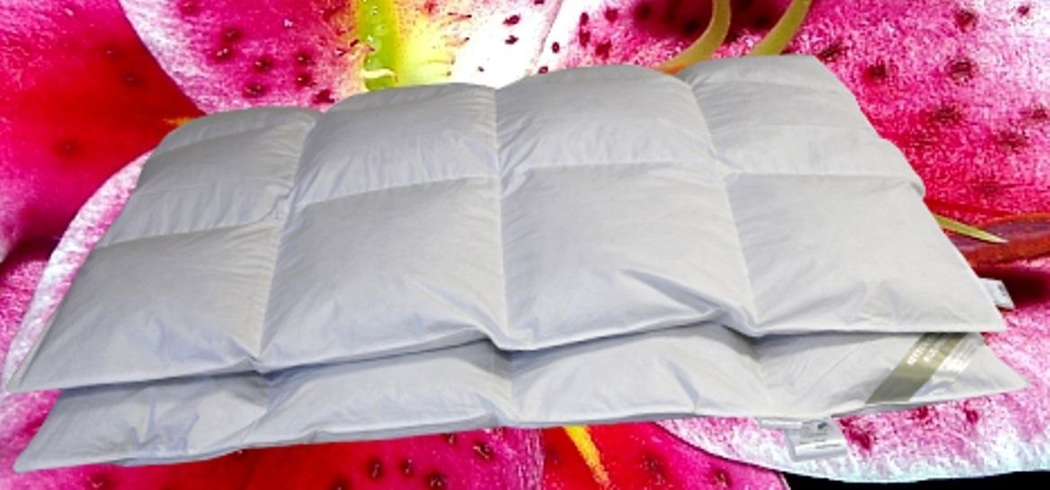 4-Jahreszeitenbett, Canada Kassetten Daunenbett 4x6 135x200 1000 g Daunendecke 100% neue, Betten Hofmann, Füllung: 1000 Gramm neue can. silberweiße Landdaunen, Klasse 1 (100% Daunen)