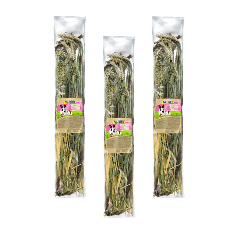 MultiFit Snacks MultiFit Sträußchen 3x80g Hirse