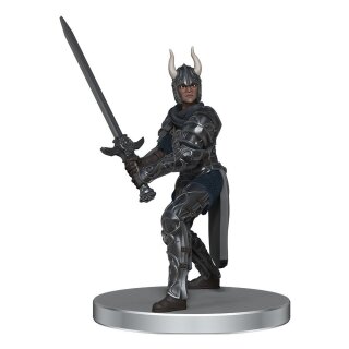 D&D Icons of the Realms: Dragonlance - Warrior Set (6) (Pre-Painted)