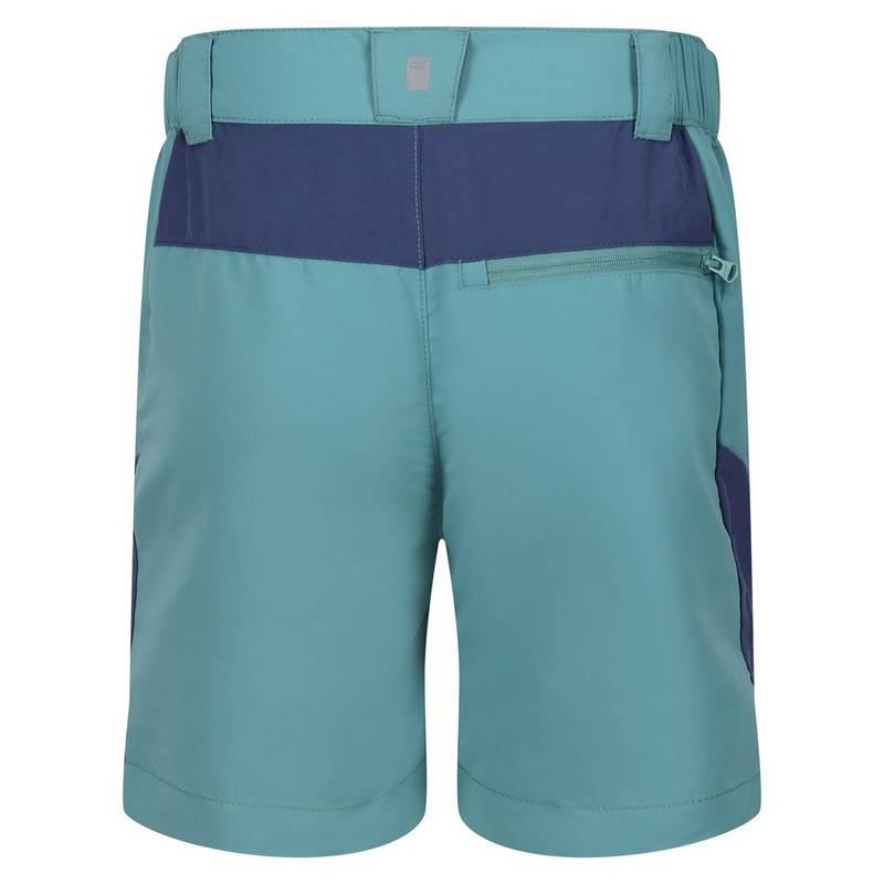 Regatta Sorcer Mountain III Shorts Kinder