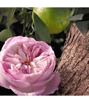 Chloé Signature Rose Naturelle Intense Eau de Parfum 30 ml