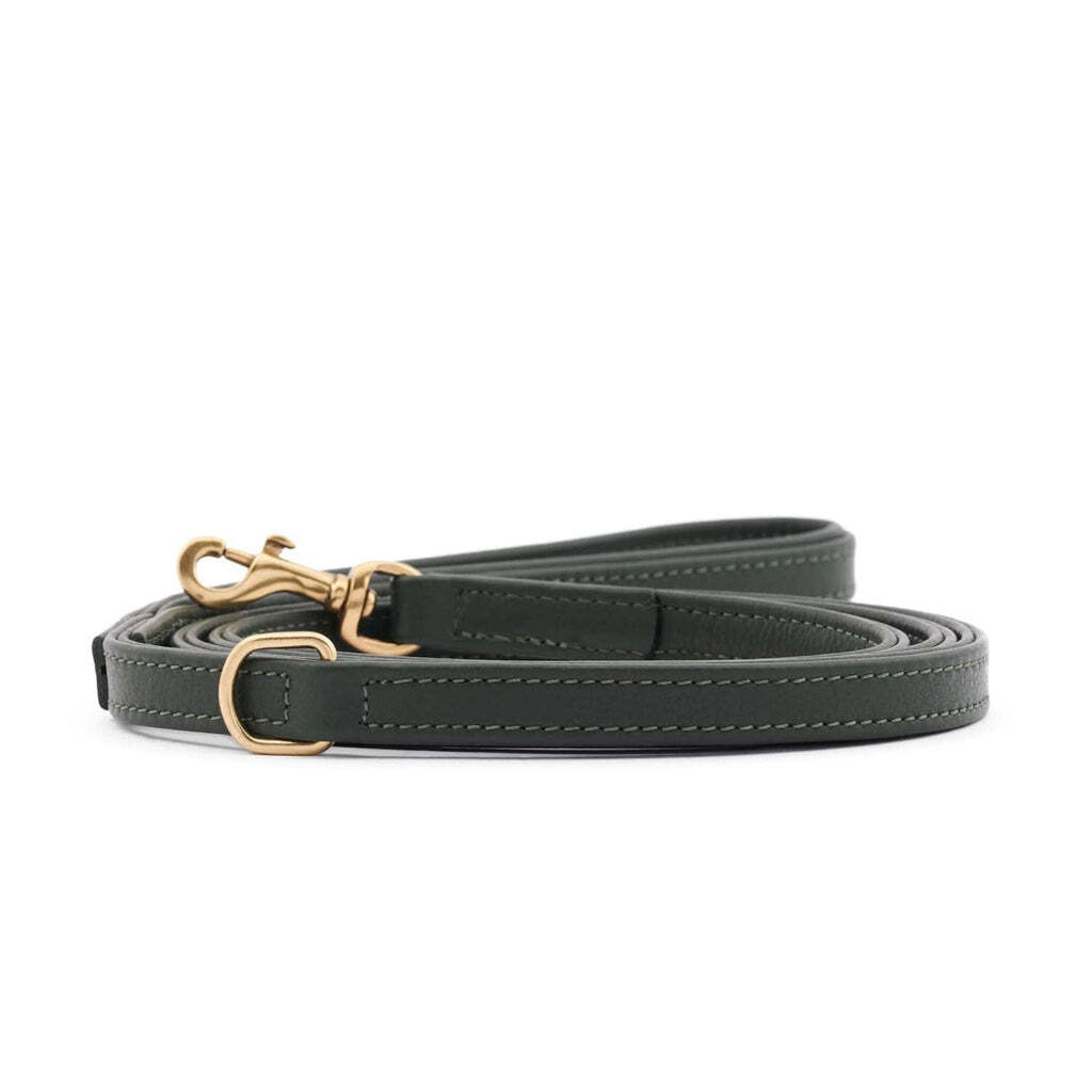 William Walker Hundeleinen William Walker Hundeleine Plain Earth S-L