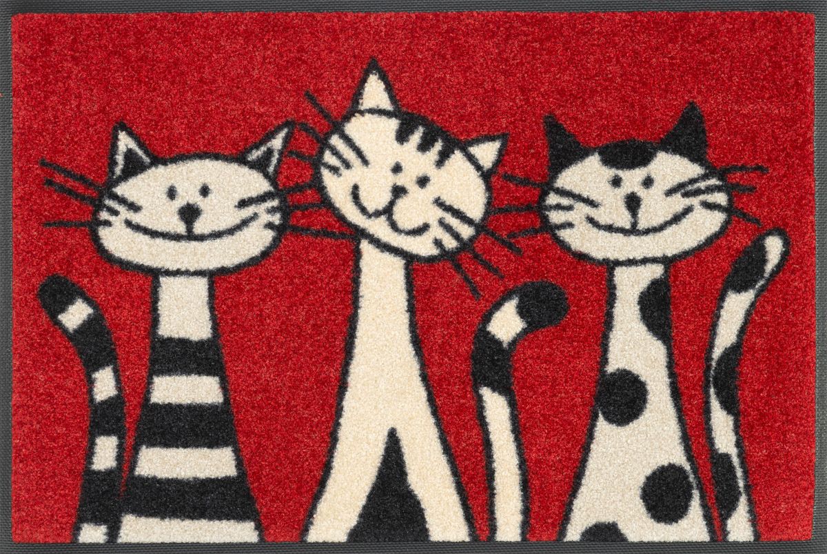 Fußmatte wash dry Three Cats 40 x 60 cm