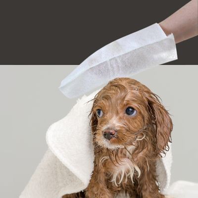 Smartpet Waschtücher Scrubby Vet