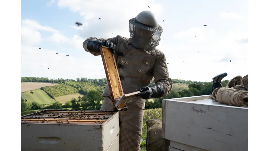 The Beekeeper  (4K Ultra HD) (+ Blu-ray)