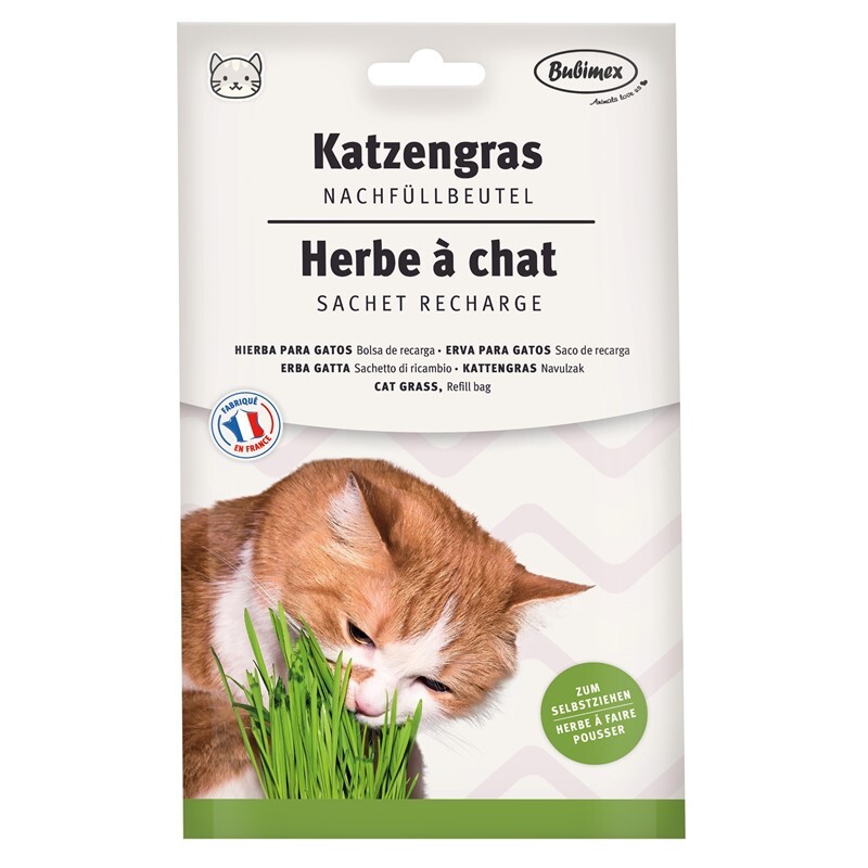Bubimex Snacks Bubimex Katzengras Nachfüllbeutel 110g