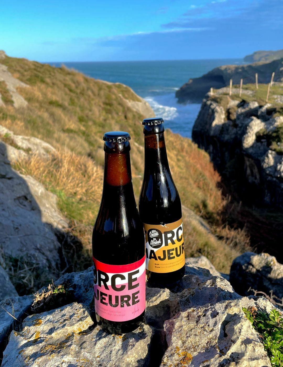 Force Majeure : Kriek - Gueule de joie 0.5° |  33 cl