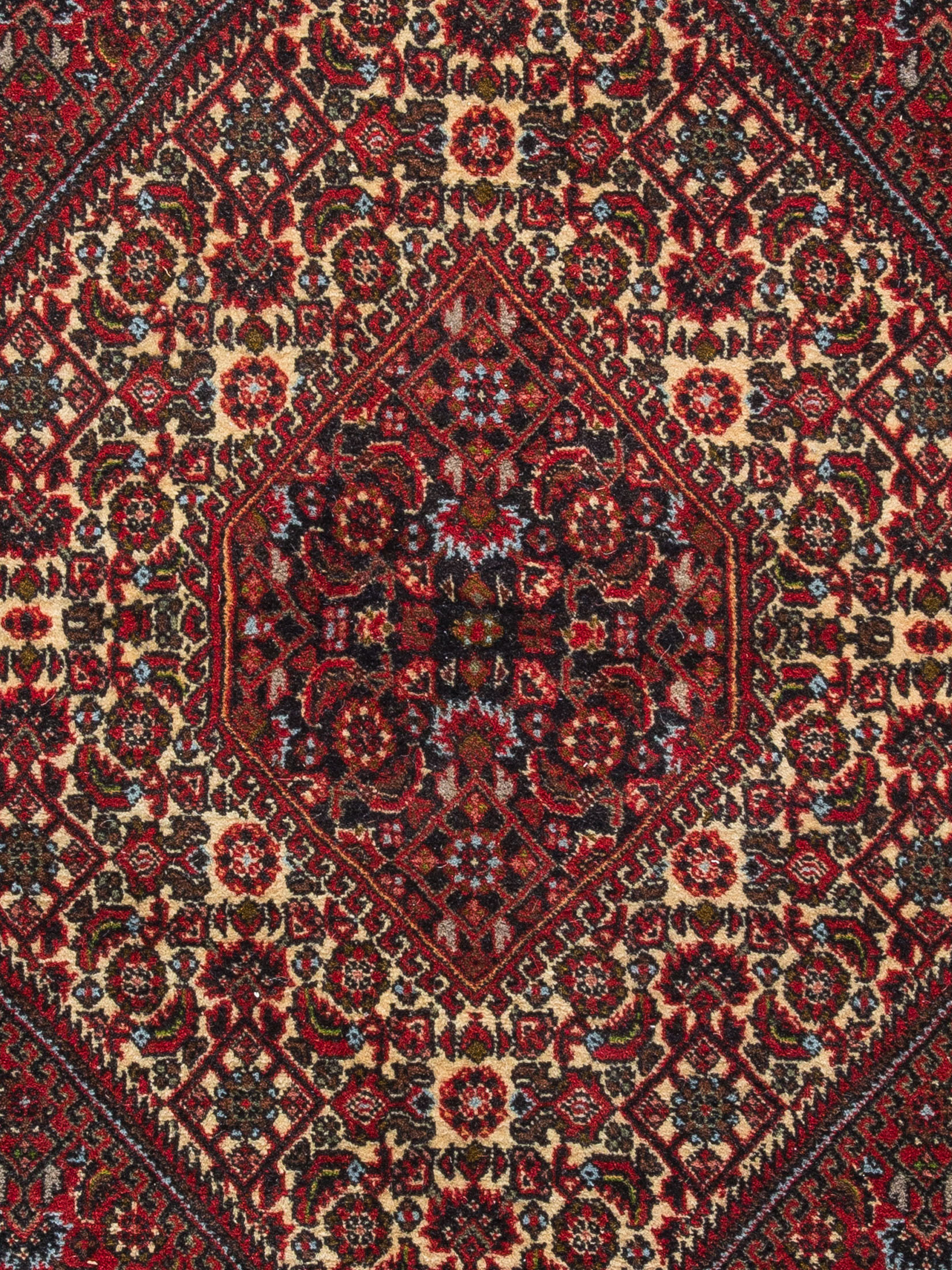 Bidjar Zandjan ca. 178 x 252 cm, Unikat / Einzelstück