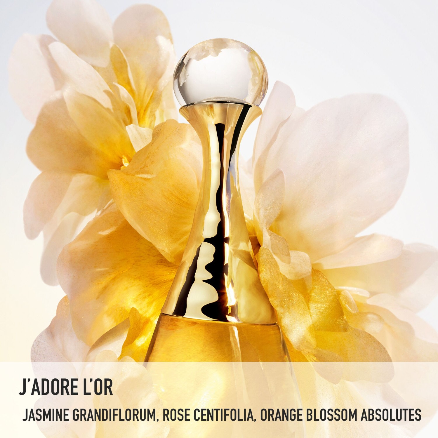 L'Or Parfum