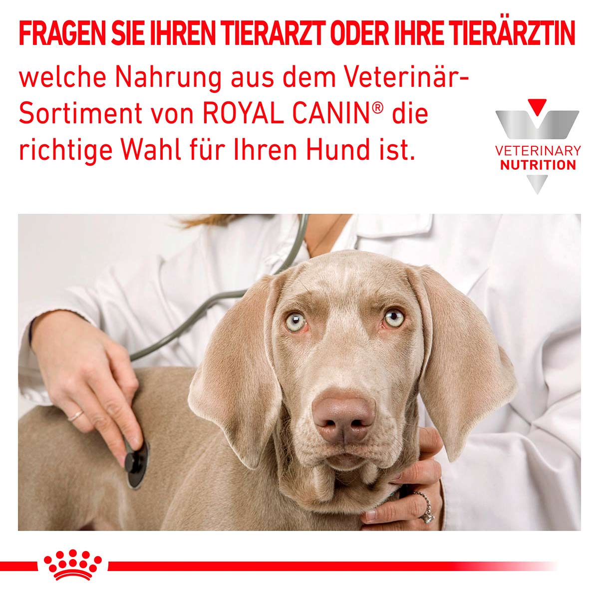 ROYAL CANIN Veterinary CARDIAC Trockenfutter für Hunde