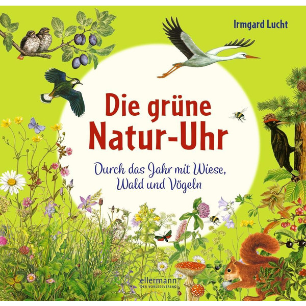 Die grüne Natur-Uhr - Sachbuch