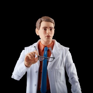 Avengers: Beyond Earth's Mightiest Marvel Legends Actionfiguren Gray Hulk & Dr. Bruce Banner 15 cm