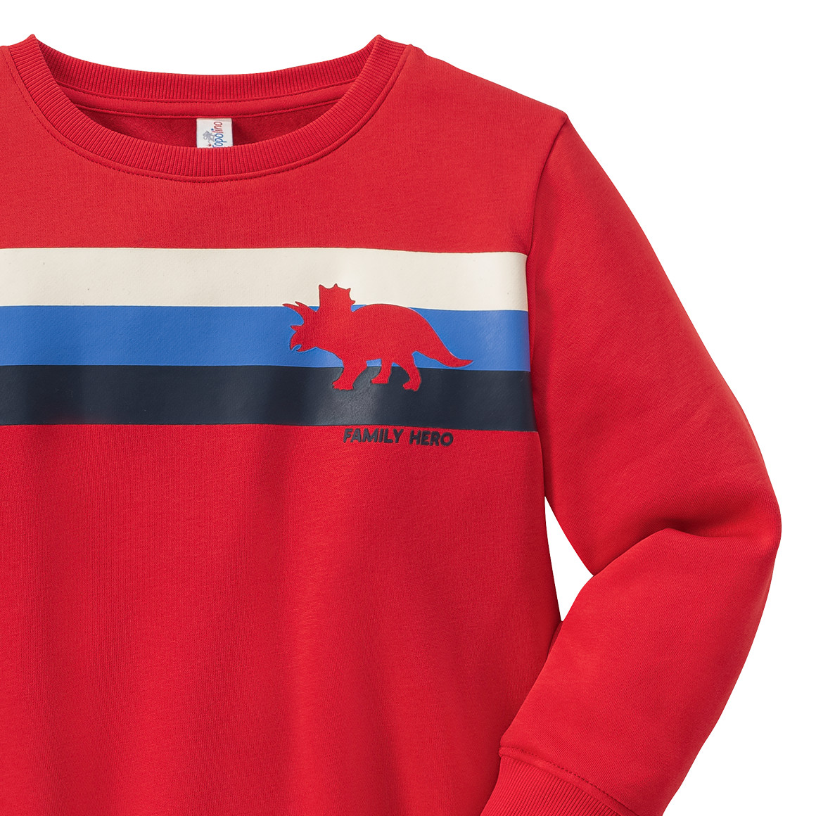 Jungen Sweatshirt mit Dino-Motiv