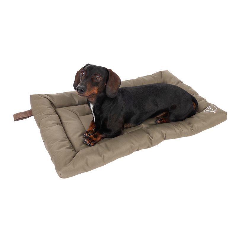 Nomad Tales Spirit Outdoor Hundekissen Pine