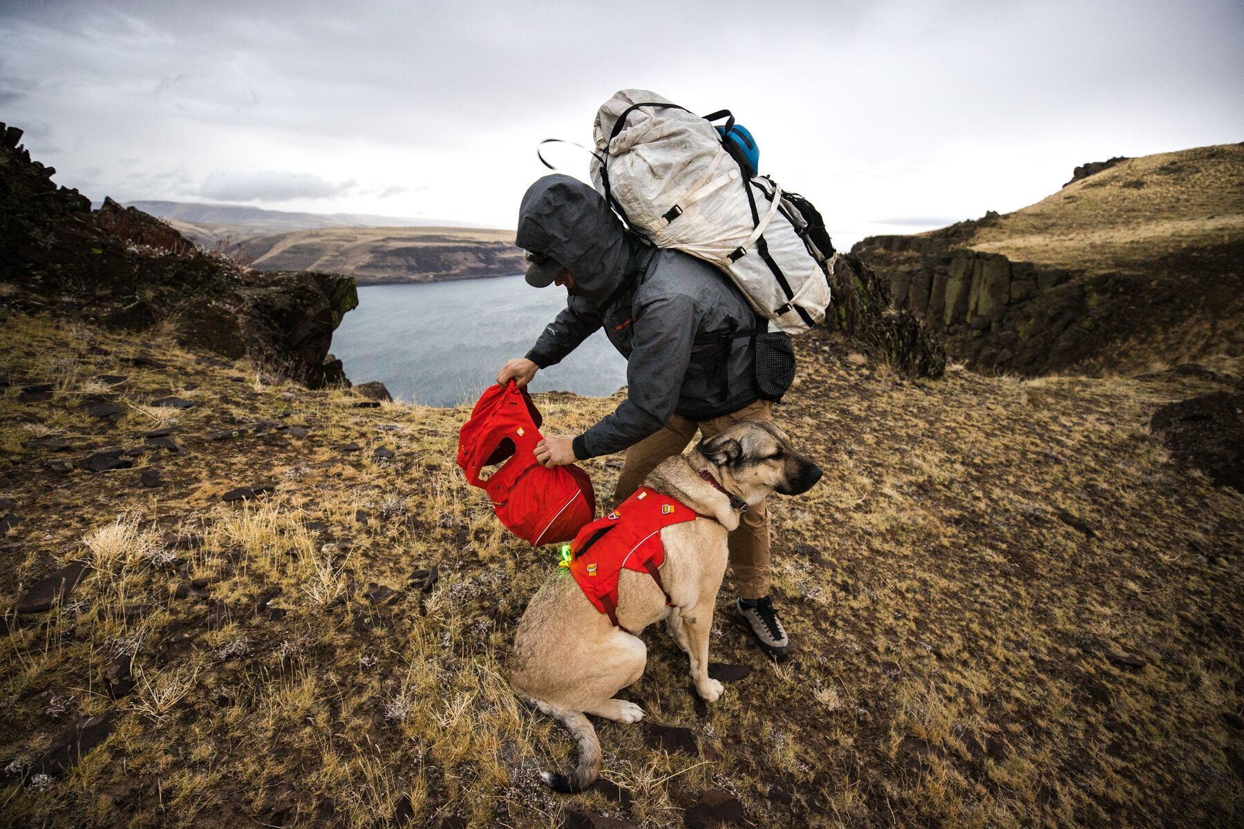 Ruffwear Tragetaschen Ruffwear Palisades™ Hunderucksack L-XL