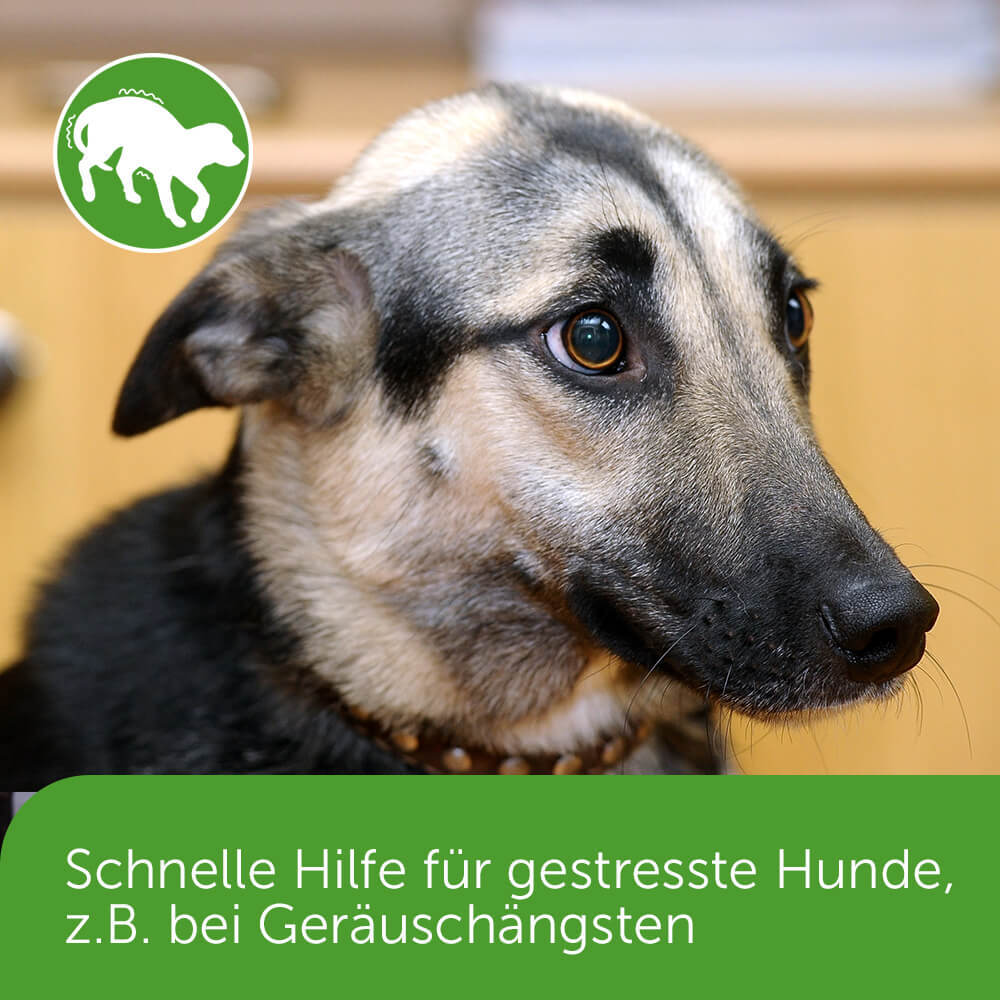 ADAPTIL Ergänzungsfutter & Aufzucht ADAPTIL Chew 30 Stück Anti Stress Snack