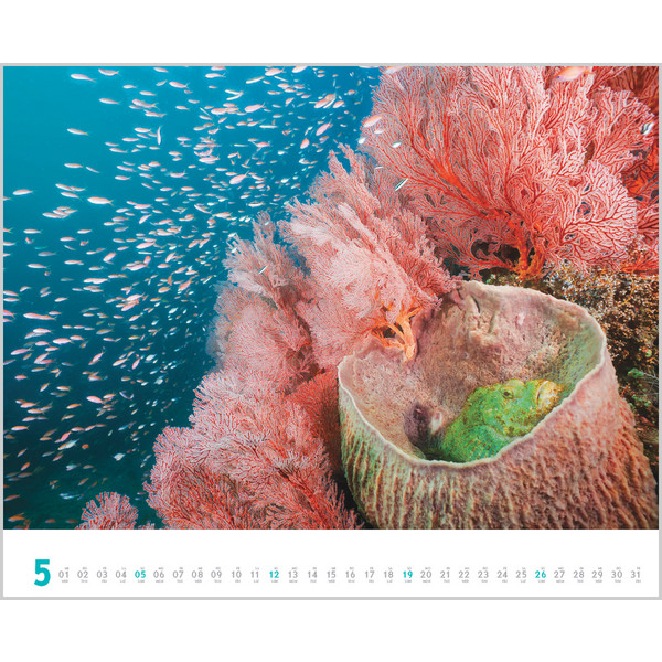 DIVE 2024 - Kalender