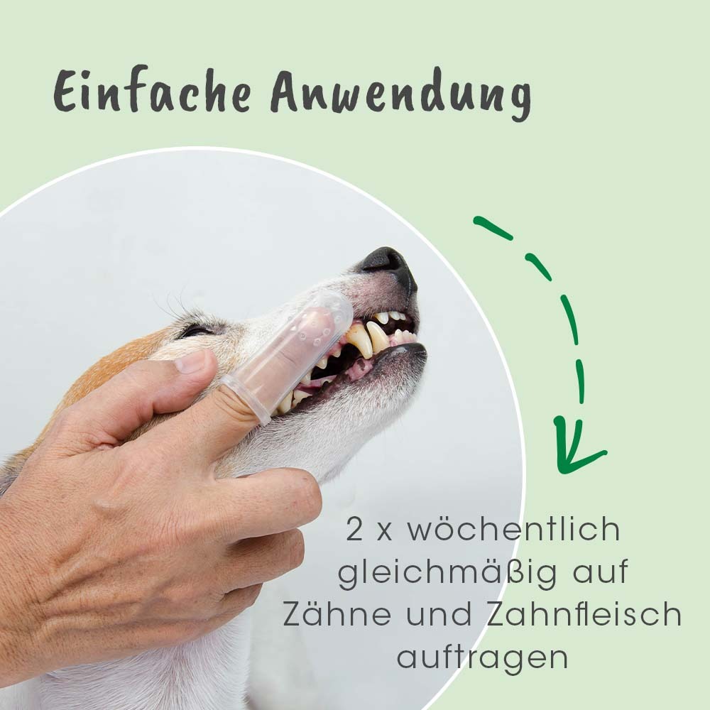 dentaVet Zahnpflege dentaVet Gel 25ml