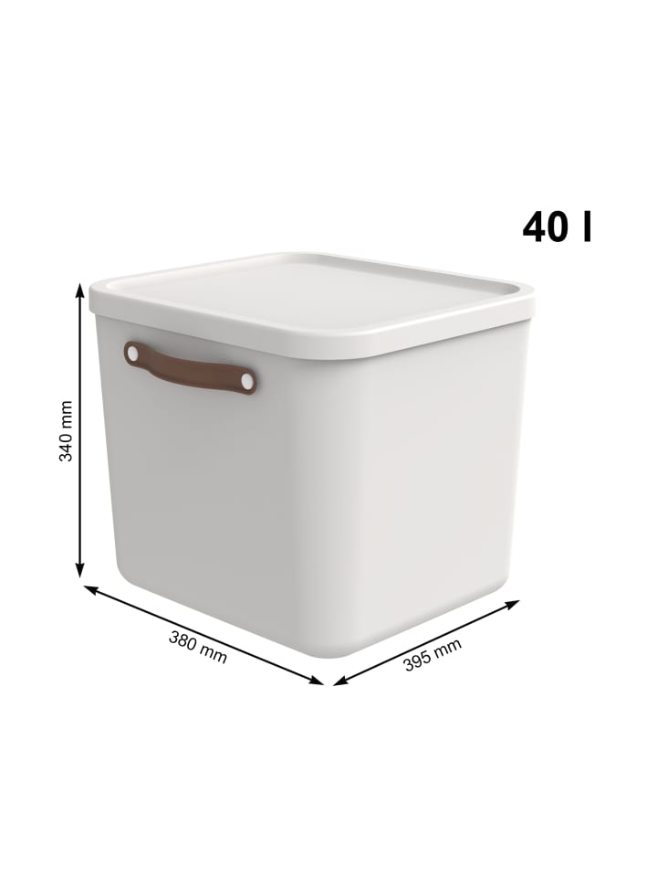 Rotho 2er-Set Aufbewahrungskiste 40l in Mistelweiß günstig kaufen onesize