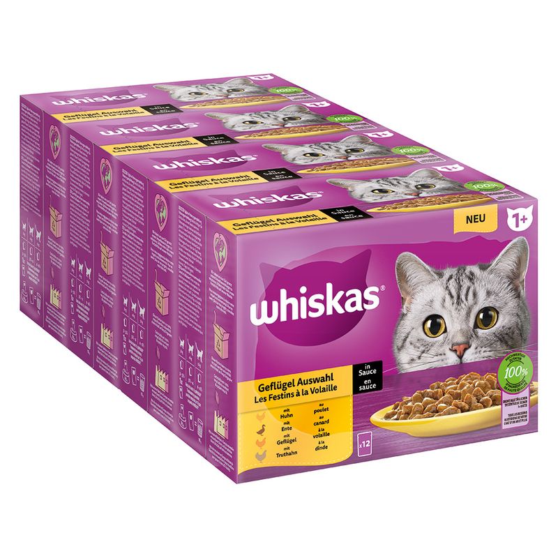 Jumbopack Whiskas 1+ Adult Frischebeutel 96 x 85 g