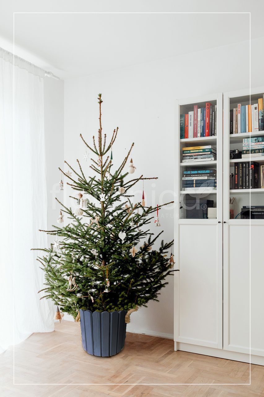 Pemicont Floranica Runder Blumentopf aus Holz 33x20cm Anthrazit Imprägnierte Kiefer Schutztopf für Kräuter Blumen Haus- und Gartendekoration Truhe Innen- und Außeneinsatz EU-Produkt