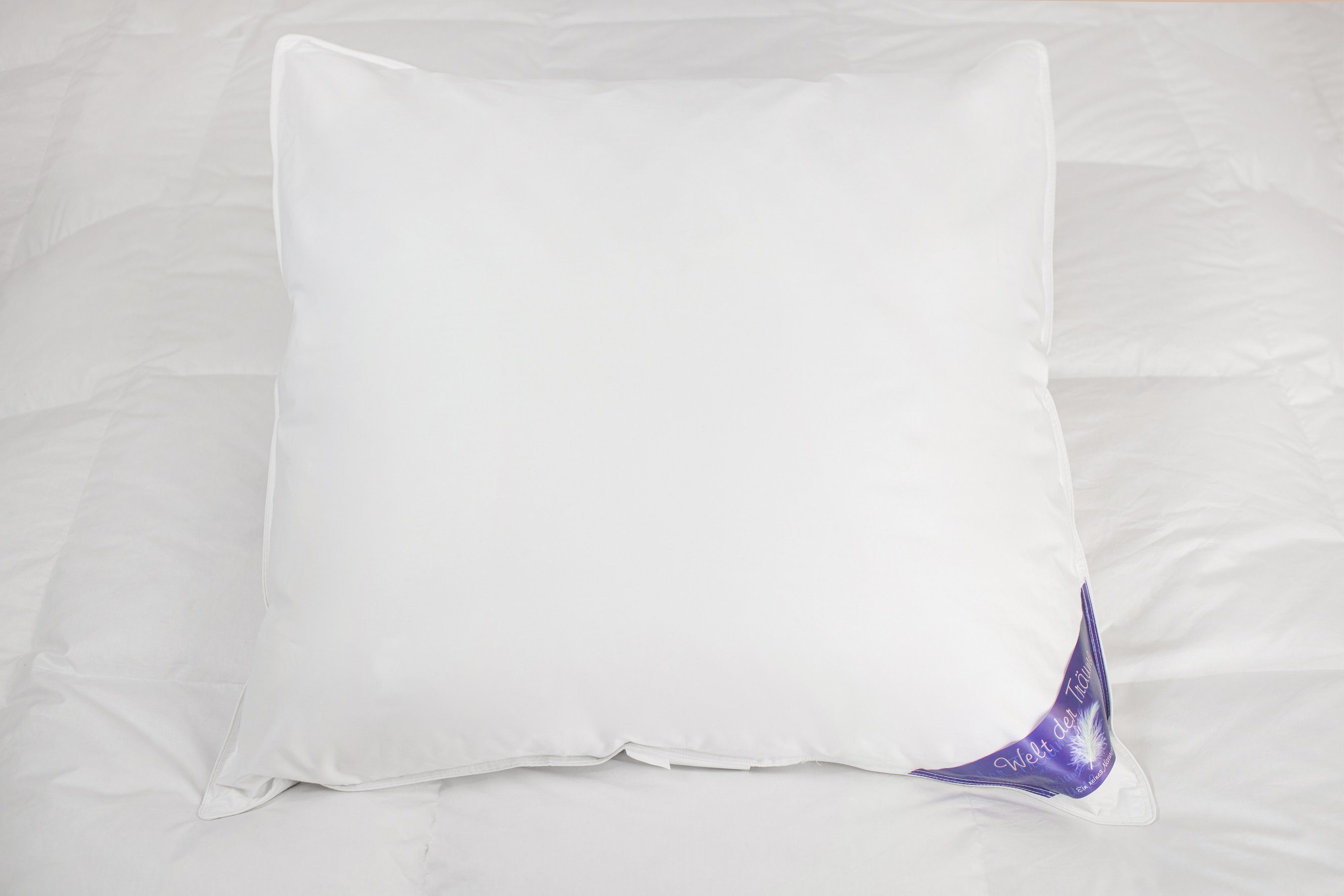 Daunenkissen Daunenkissen Kissen Kopfkissen Federkissen Daunen Federn DownPillow FeatherPillow 80x80 cm Füllung: 15% Daunen/ 85% Federn, Welt der Träume, Füllung: 15% Daunen/ 85% Federn