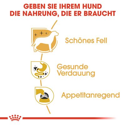 Royal Canin Chihuahua Mousse