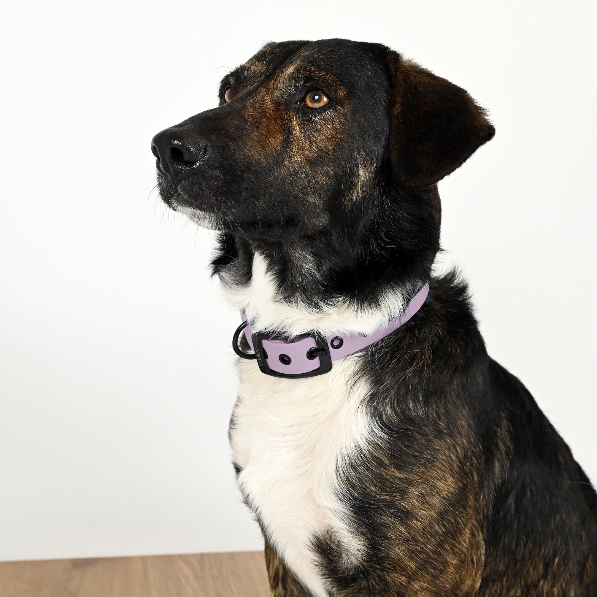 THE DOG IDEA Hundehalsbänder THE DOG IDEA Biothane Halsband Lavendel Schwarz L