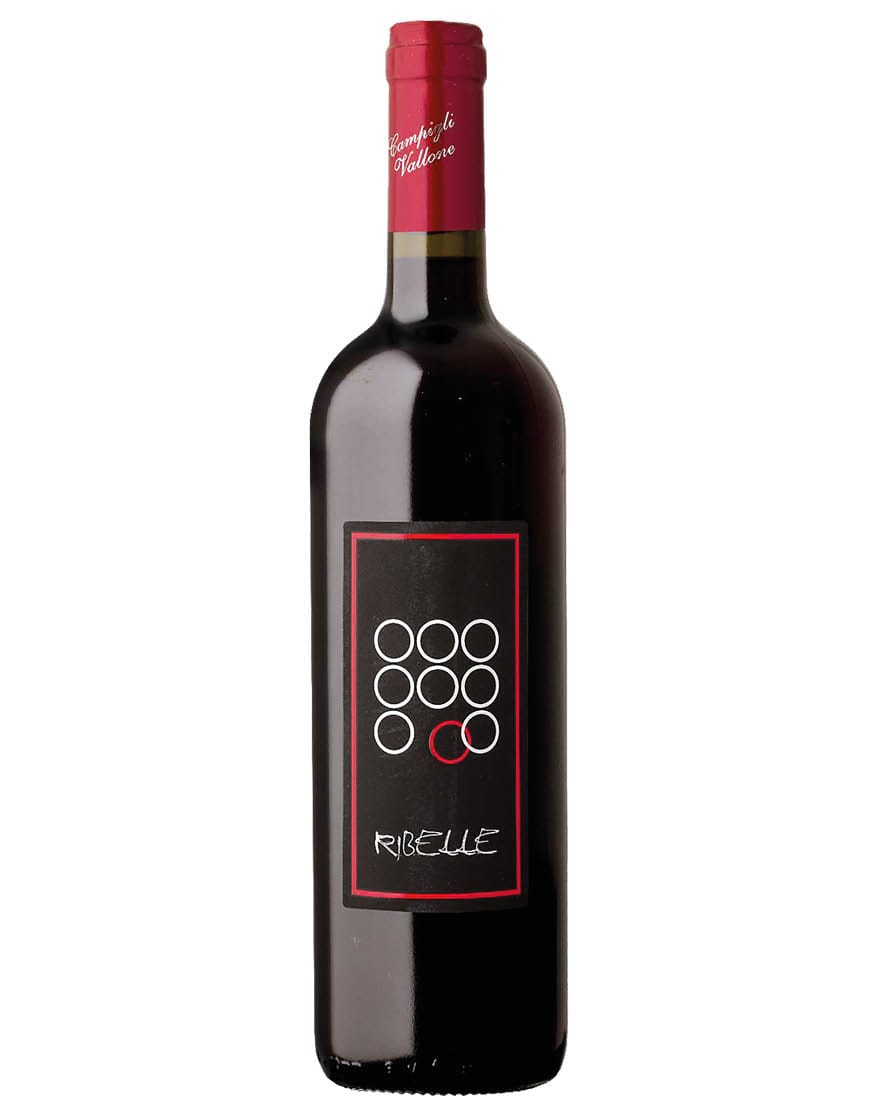 Toscana IGT Rosso Ribelle 2020 Terre Nere 0,75 ℓ