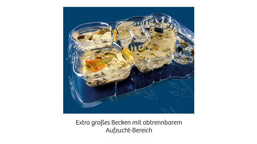 KOSMOS - Triops-Welt - Leben aus der Urzeit