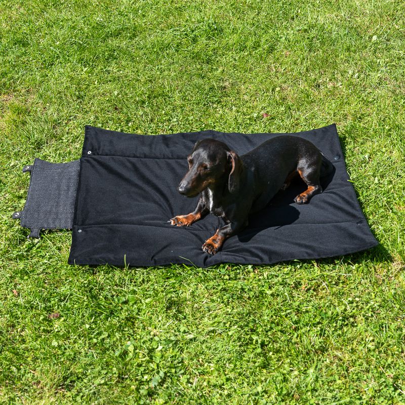 Nomad Tales Reise-Hundematte Ebony zu TOP-Preisen