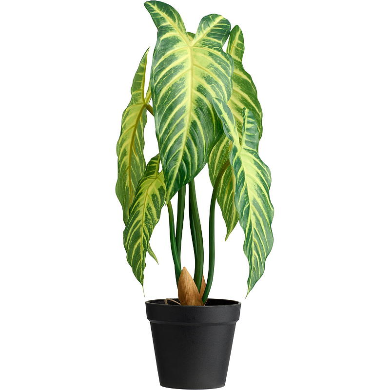 Home Xanthosoma plante 50 cm kunstig