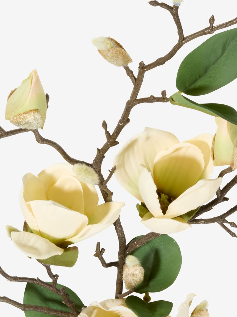 DIDRIK Sztuczny kwiat DIDRIK magnolia wys. 85cm
