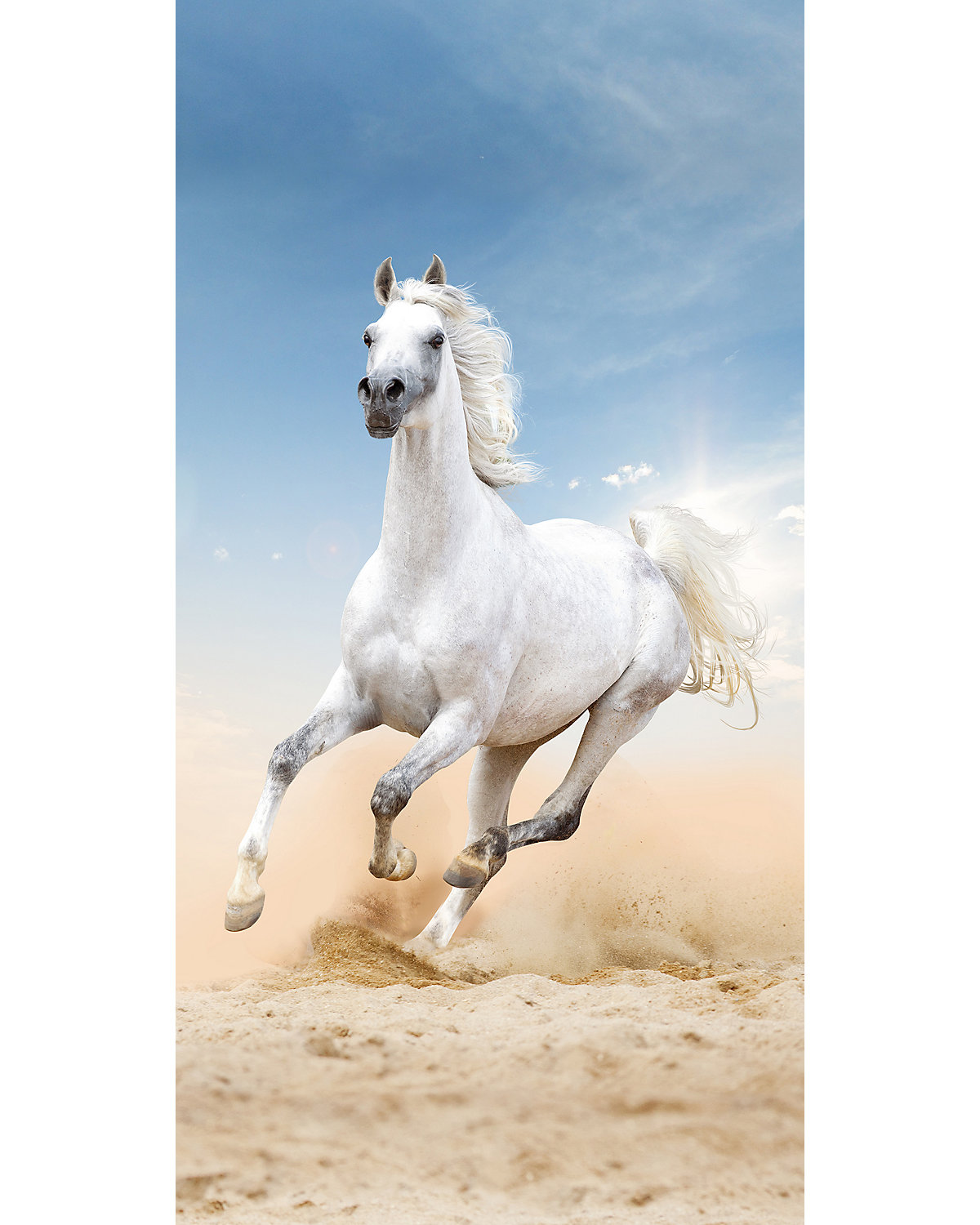 Strand- / Badetuch Pferd, 75 x 150 cm