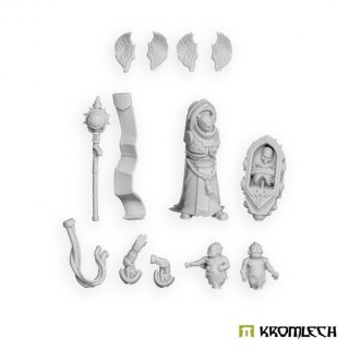 Vox Magister Acolyte (1)