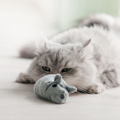 Aumüller Katzenspielzeug Baldi-Maus