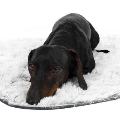 TIAKI Hundedecke Cloud