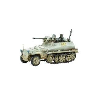 Sd.Kfz 250 (Alte) Half-Track (Options to make 250/1, 250/9 & 250/11 Variants)
