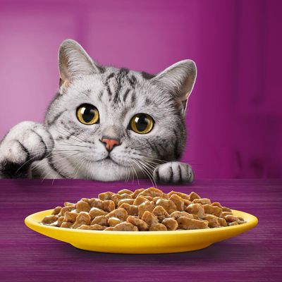 Jumbopack Whiskas Senior Frischebeutel 144 x 85 g