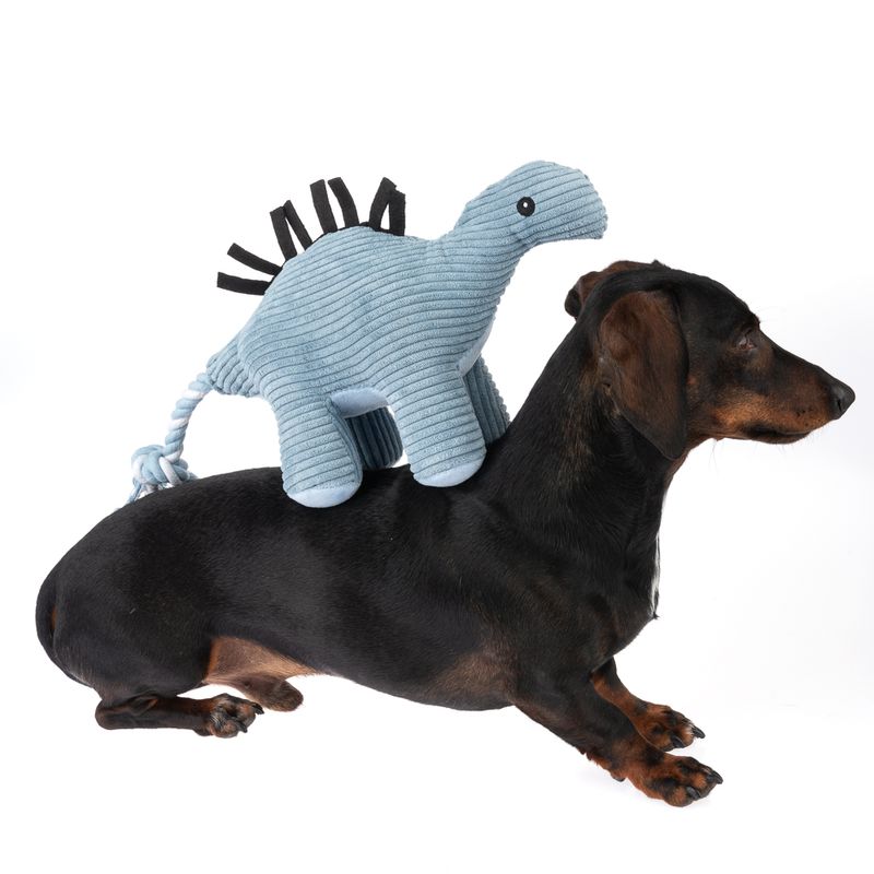 TIAKI Hundespielzeug Stegosaurus zu TOP-Preisen