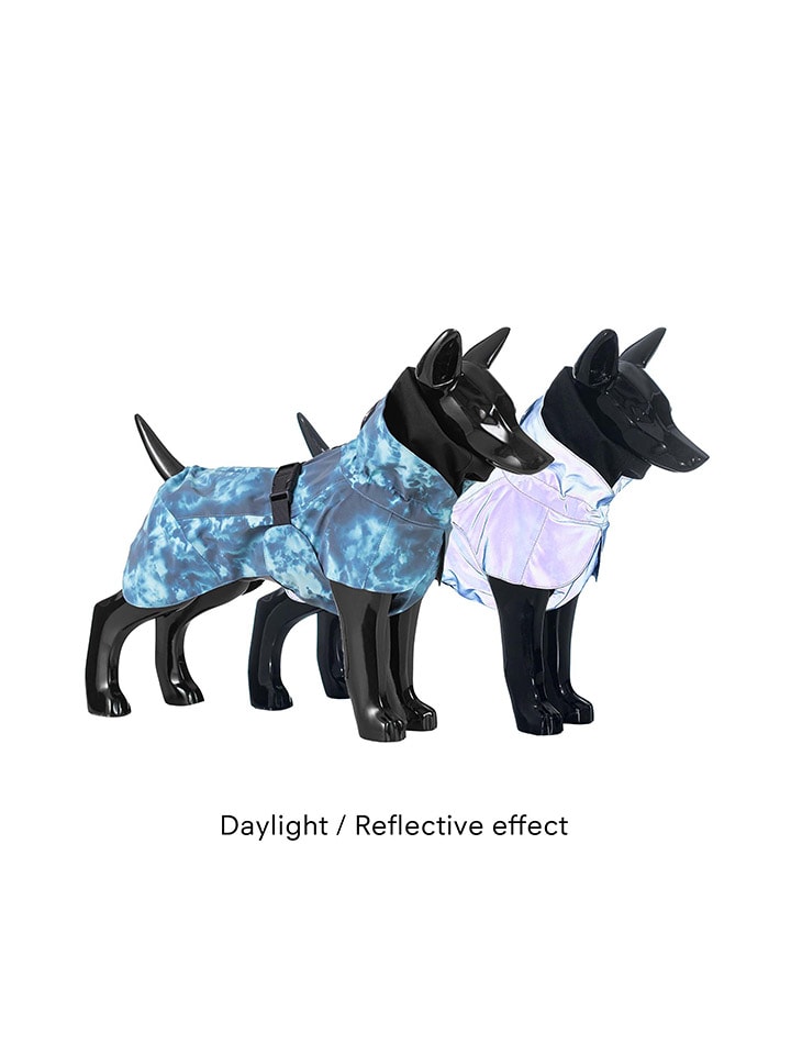 Paikka Hunde-Regenmantel in Blau günstig kaufen