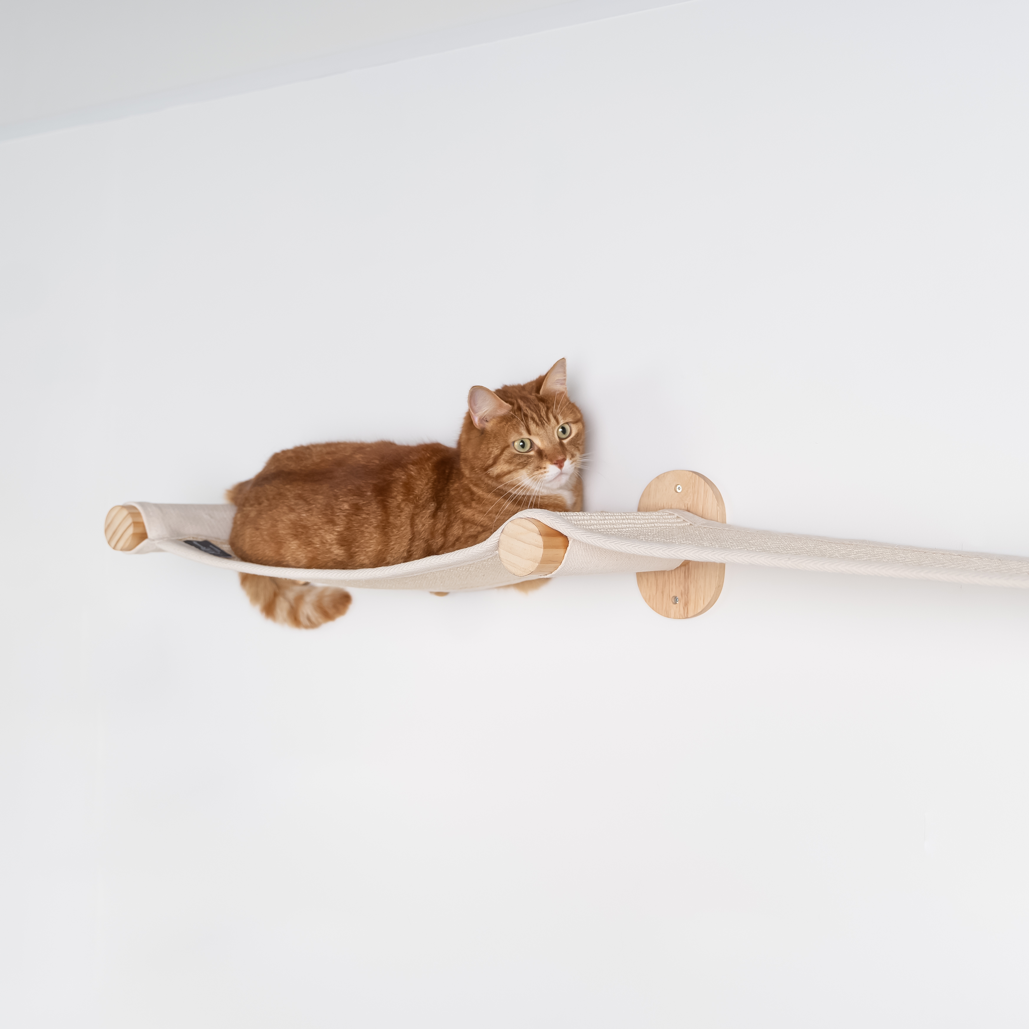 RHR Quality weiteres Katzenspielzeug RHR Quality RHRWandmöbel Mauerbrücke Katze creme/ beige