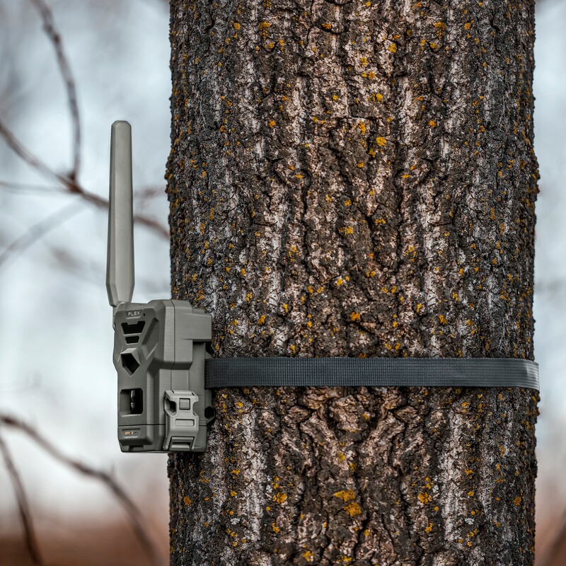 Spypoint Wildkamera Flex