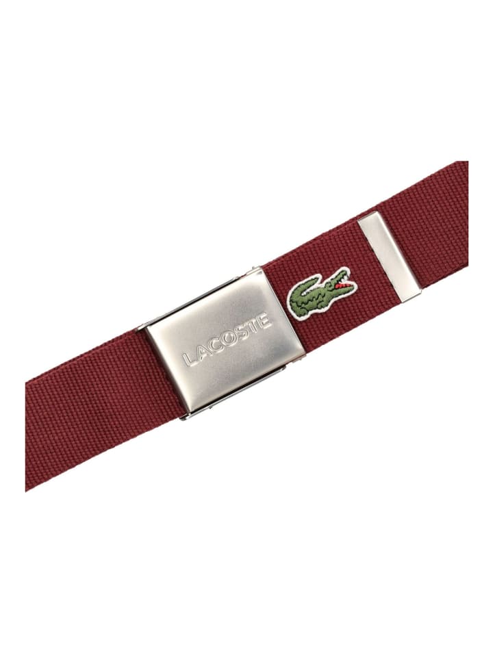Lacoste Gürtel in Espresso günstig kaufen 110